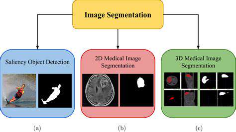 AI in Medical Image Segmentation